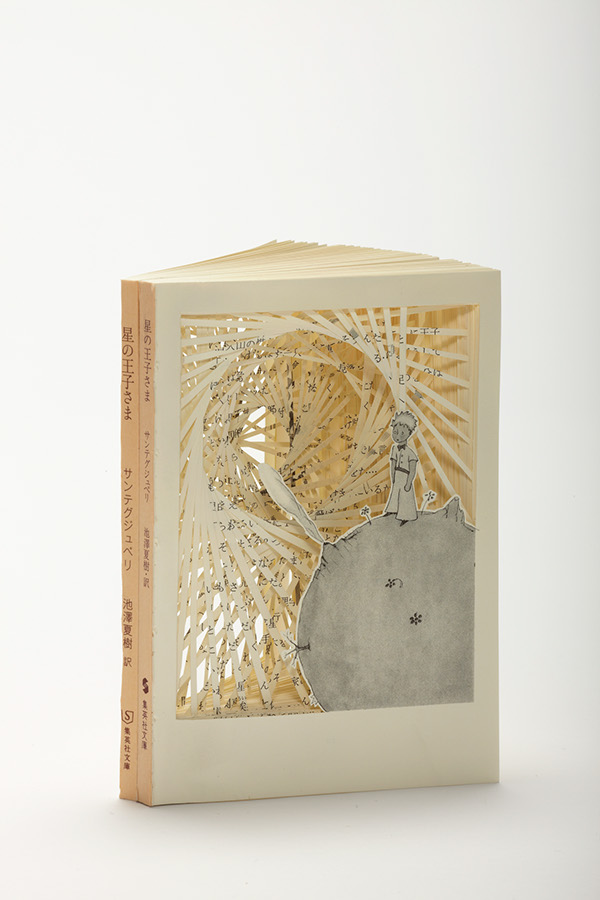 Novels_Transformed_into_Book_Art_01