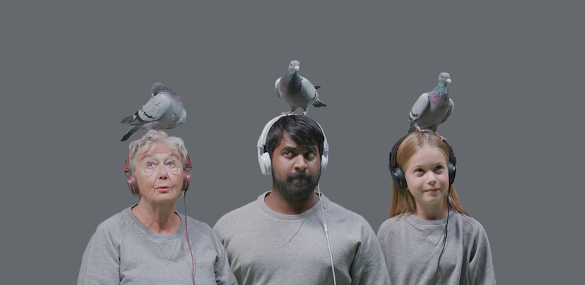 Urbanears_Pigeon_Bingo_WHUDAT_01