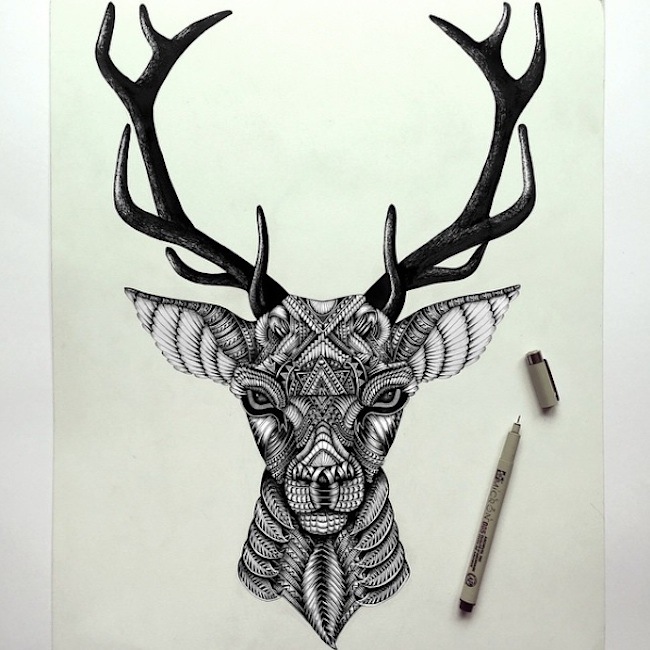 Amazing_Detailed_Animal_Doodles_Created_by_Artist_Faye_Halliday_2015_04