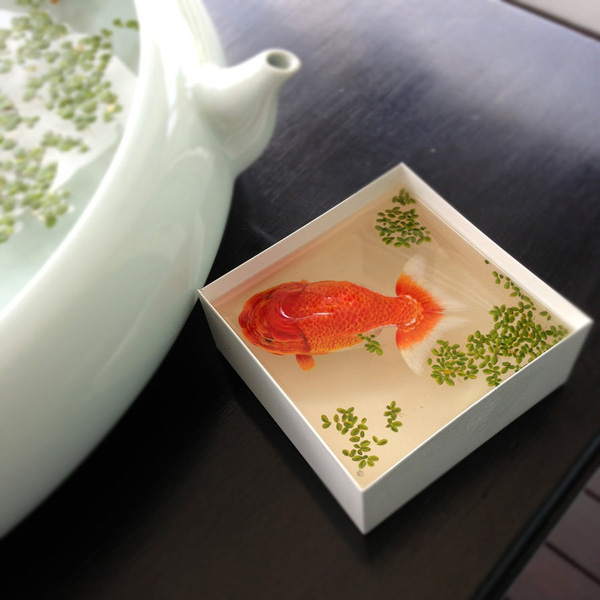 3D-Fish-Paintings_02