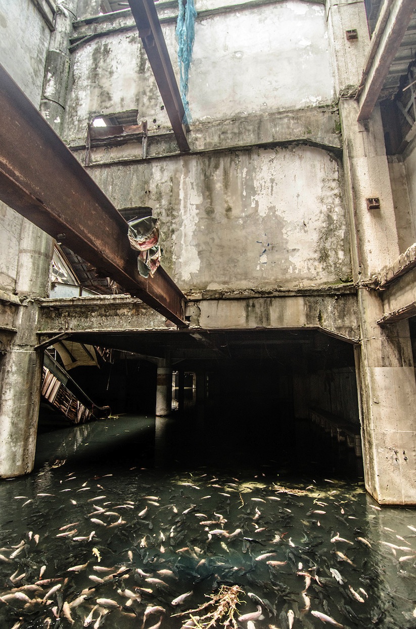 Abandoned_Shopping_Mall_In_Bangkok_Has_Been_Taken_Over_By_Fish_2014_07