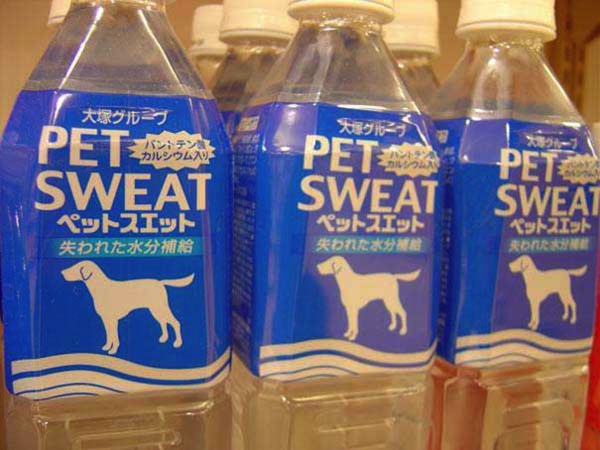 Collection_of_Badly_Translated_Product_Names_2014_05