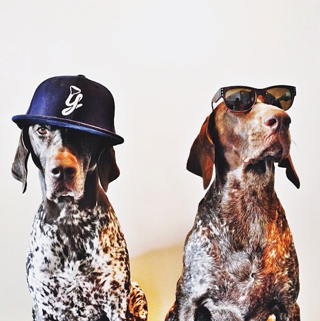Gus_and_Travis_Dogs_10