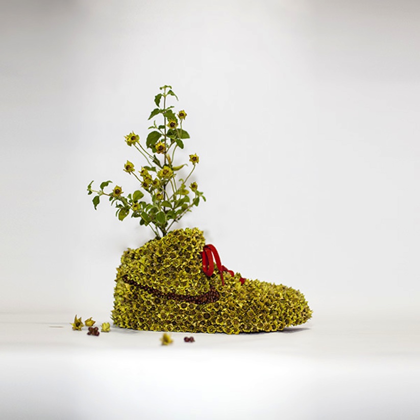 Just_Grow_It_Les_Sneakers_Vegetales_by_French_Artist_Monsieur_Plant_2014_02