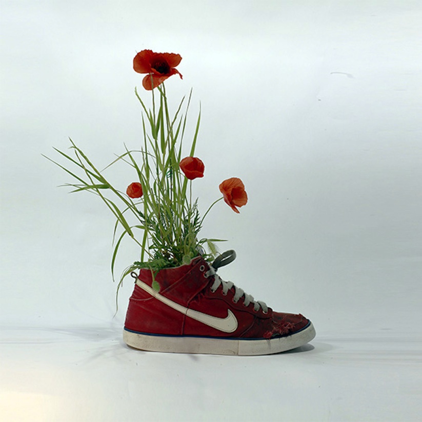 Just_Grow_It_Les_Sneakers_Vegetales_by_French_Artist_Monsieur_Plant_2014_08