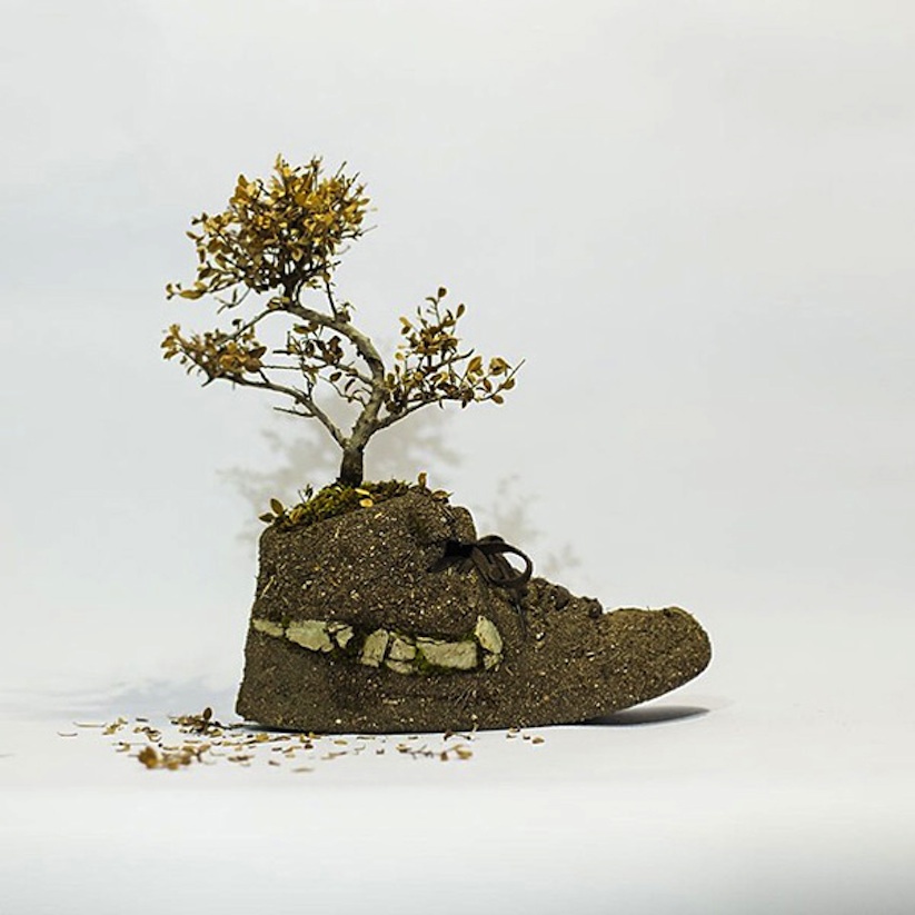 Just_Grow_It_Les_Sneakers_Vegetales_by_French_Artist_Monsieur_Plant_2014_09