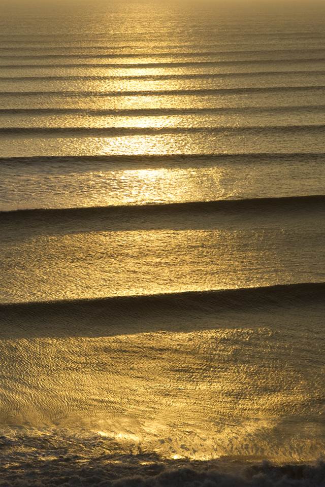 Lines Of Gold