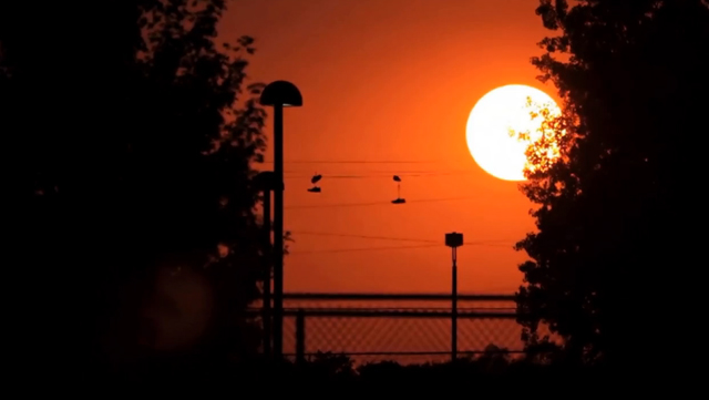 Skateboarding_BRAVE_Tommy Carroll_2