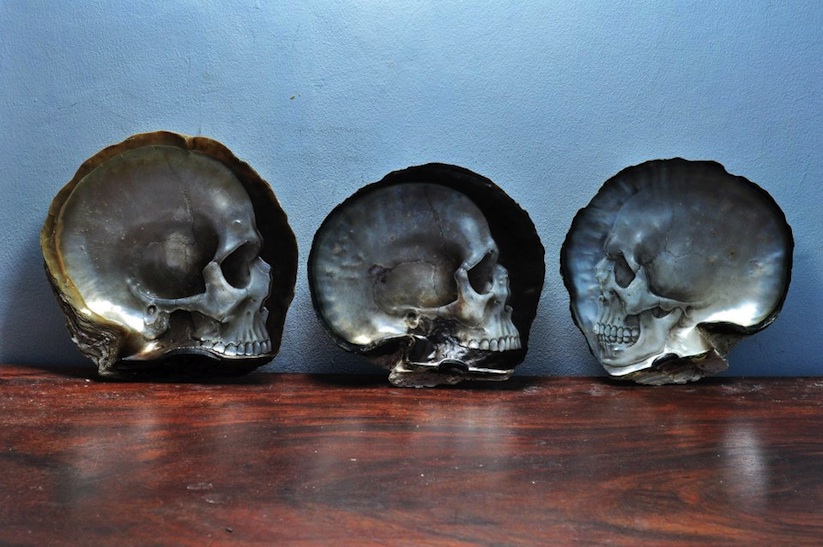 Skulls_Carved_into_Mother_of_Pearl_Shells_by_Gregory_Halili_2014_07