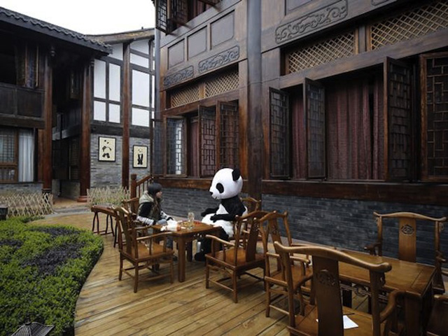 The Haoduo Panda Hotel_3
