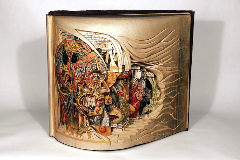 The_Book_Surgeon_Incredible_Book_Sculptures_by_Brian_Dettmer_2014_01
