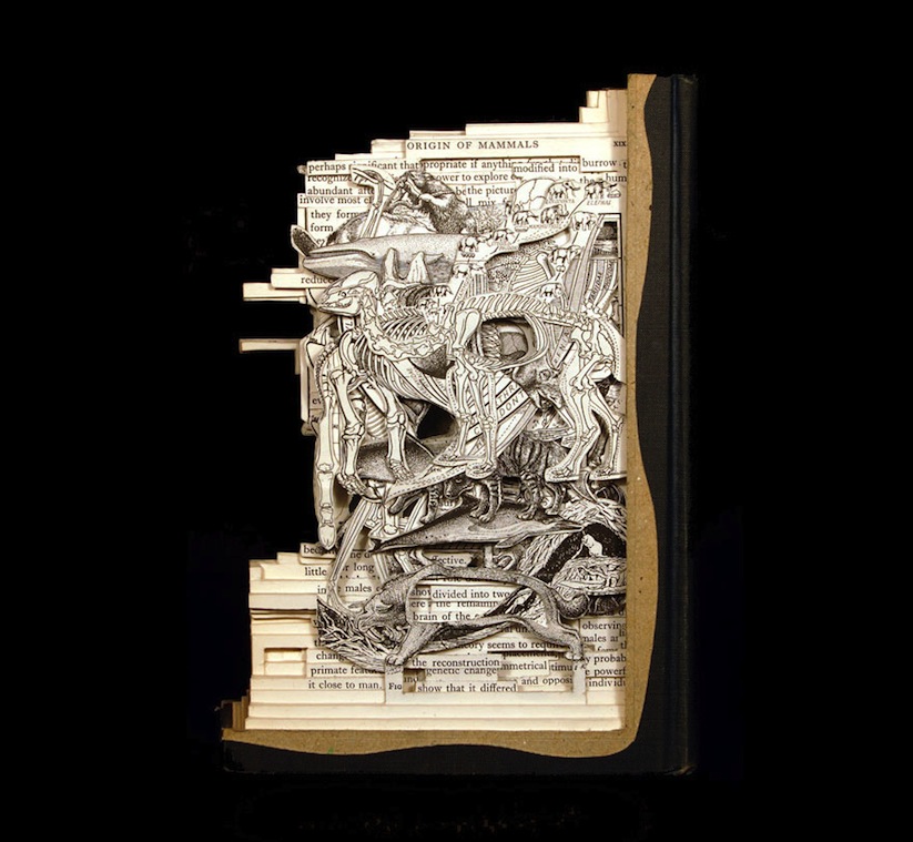 The_Book_Surgeon_Incredible_Book_Sculptures_by_Brian_Dettmer_2014_08