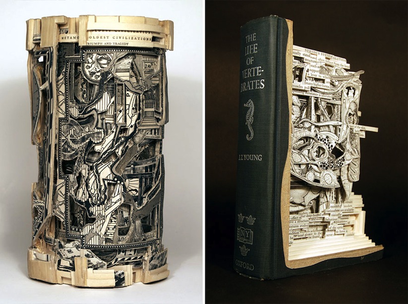 The_Book_Surgeon_Incredible_Book_Sculptures_by_Brian_Dettmer_2014_09