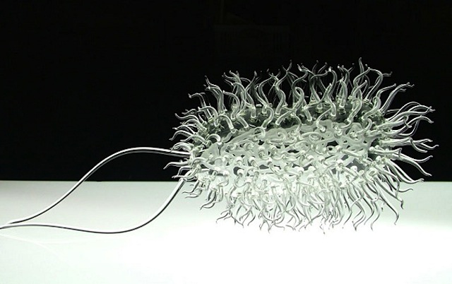 Virus_Glass_Sculptures_01