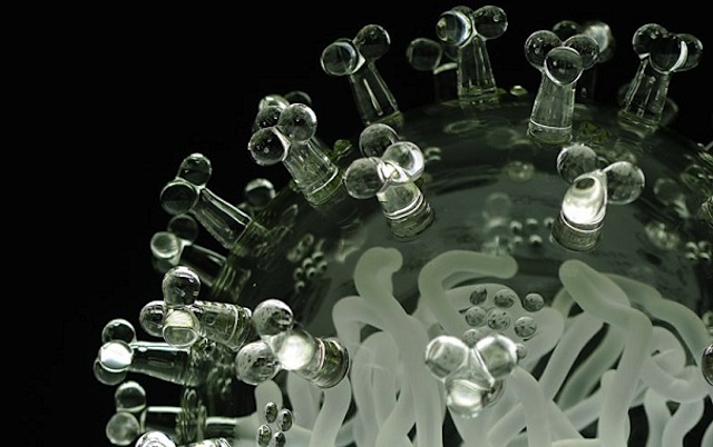 Virus_Glass_Sculptures_04