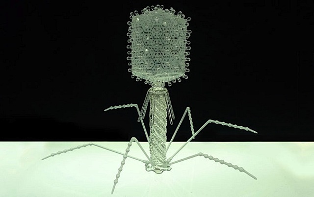 Virus_Glass_Sculptures_06