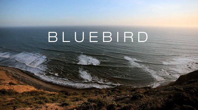 Bukowski Bluebird