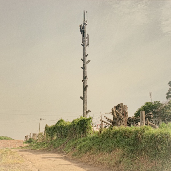 cellphone_tower_trees_04