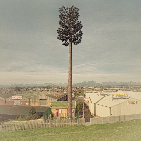 cellphone_tower_trees_06