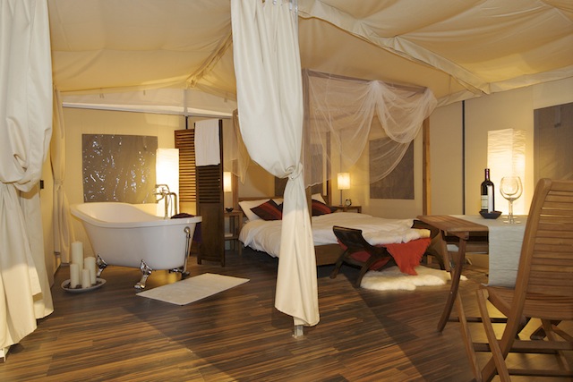 glamping_adv_losui_01