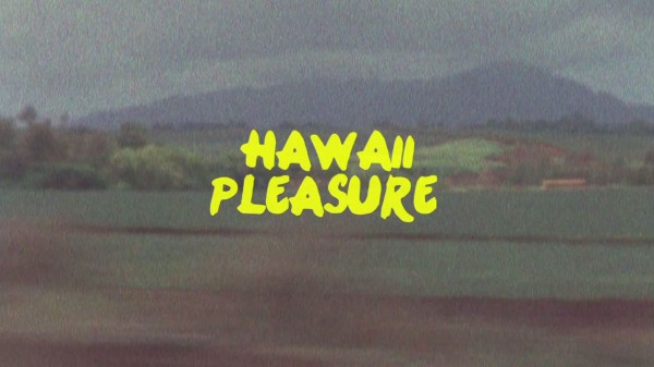 Hawaii Pleasure