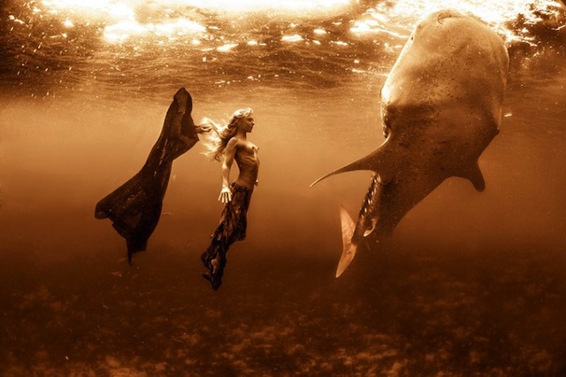 kristian-schmidt-underwater-photography-shark-whale-chicquero-03