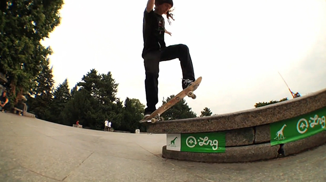 lrg_skate_1