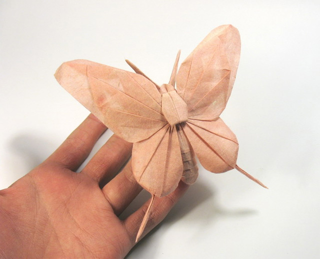 origami_nguyen-hung_08
