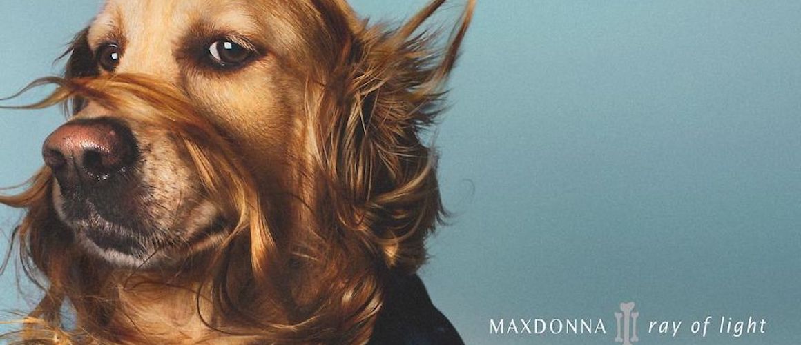 „Maxdonna“ Fotograf Vincent Flouret macht seinen Hund Max zu Madonna