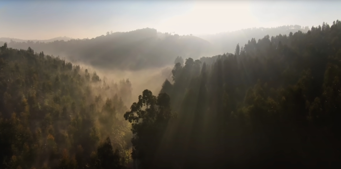 Mooji Meditation