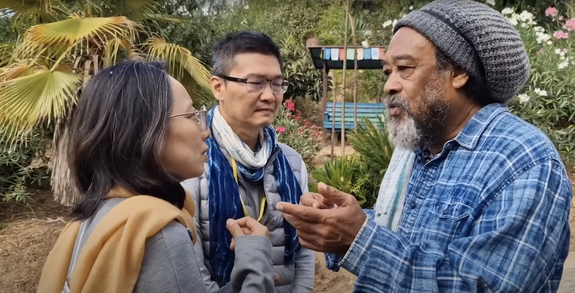 Mooji Ablösung