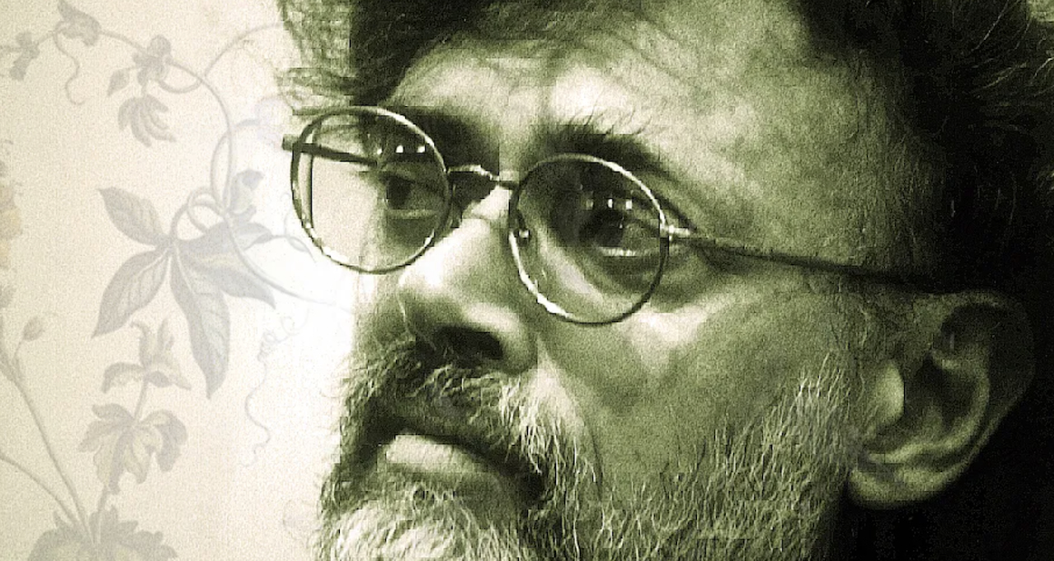 Terence McKenna Neuheitstheorie