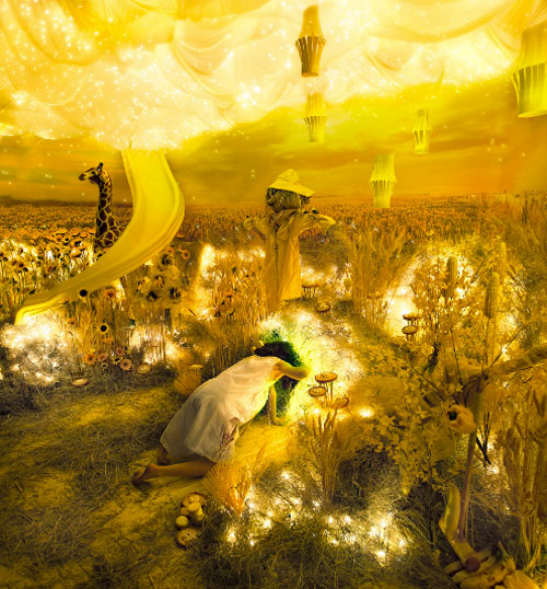 The_color_project_adrien_broom_11