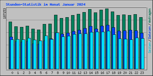 Stunden-Statistik im Monat Januar 2024