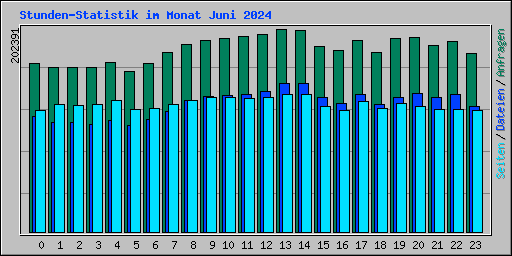 Stunden-Statistik im Monat Juni 2024