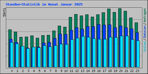 Stunden-Statistik im Monat Januar 2025