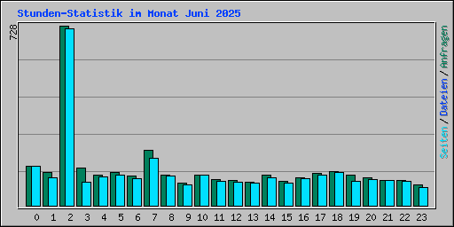 Stunden-Statistik im Monat Juni 2025