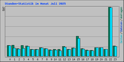 Stunden-Statistik im Monat Juli 2025