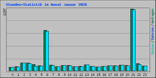 Stunden-Statistik im Monat Januar 2026