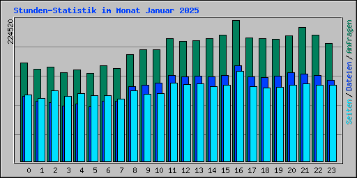 Stunden-Statistik im Monat Januar 2025