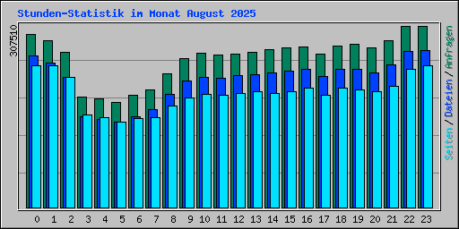 Stunden-Statistik im Monat August 2025